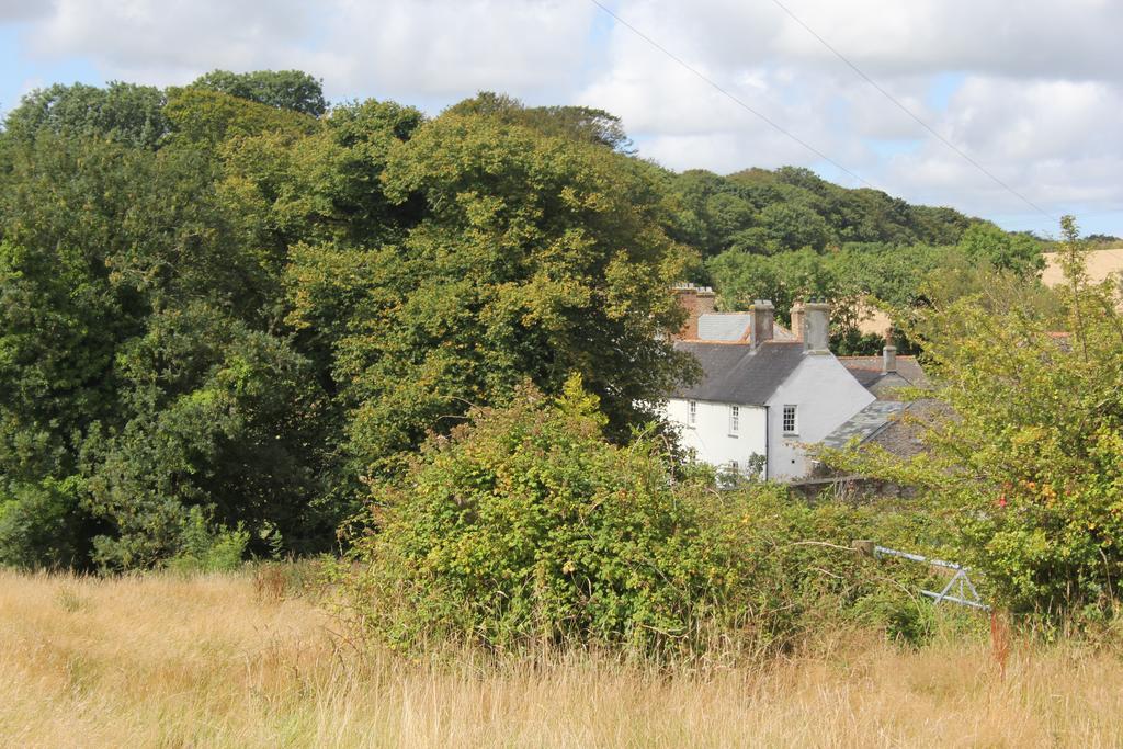 Costislost House Wadebridge Exteriör bild